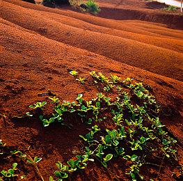 《不朽者传奇》将升级到虚幻5.2 新作将采用虚幻5.3
